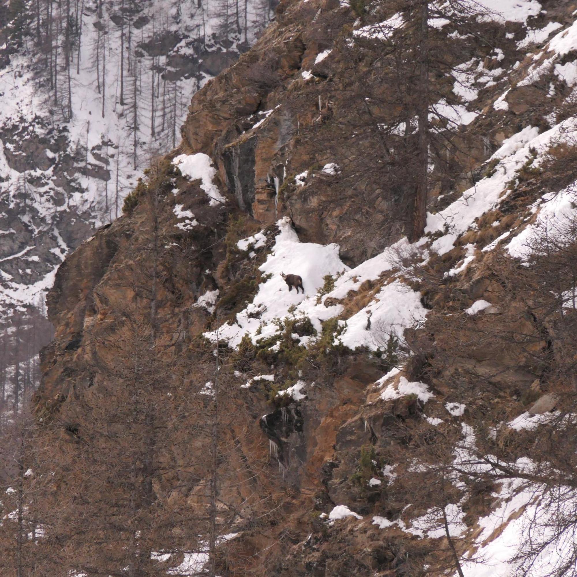 Apartmán Le Grenier Du Roux Abriès Exteriér fotografie